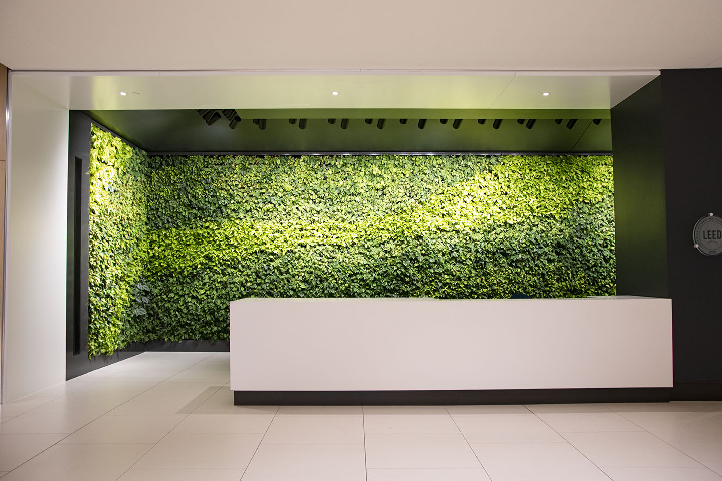 Bonaventure Green Wall