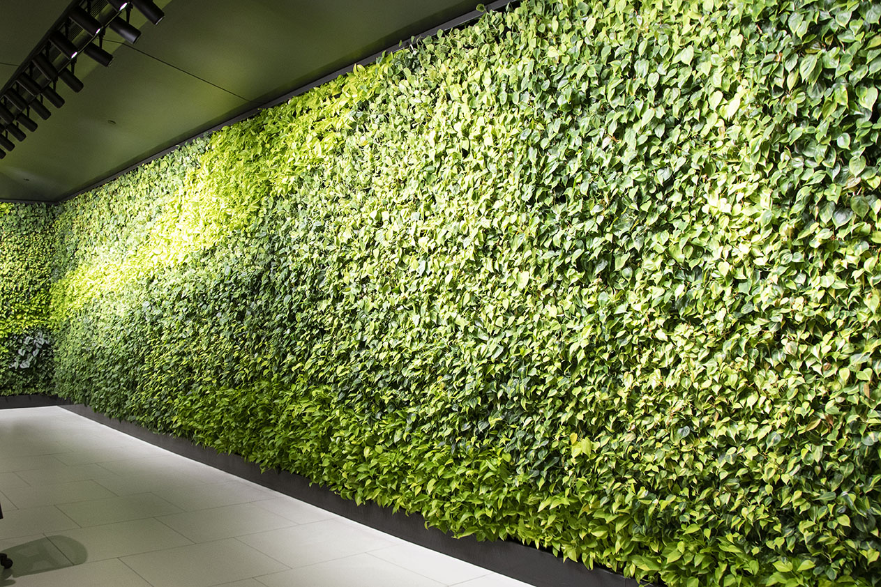 Bonaventure Green Wall