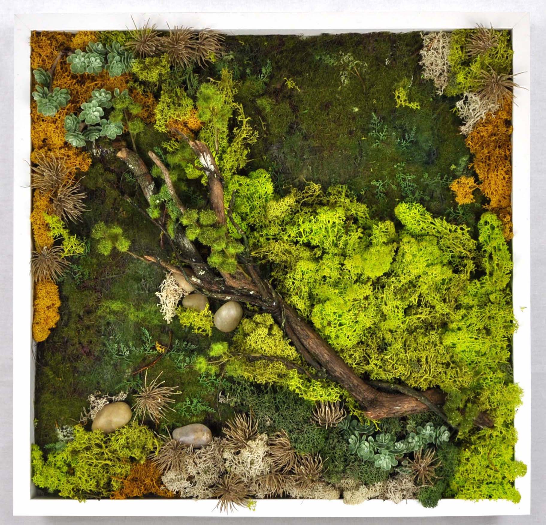 Preserved Moss Wall Frame