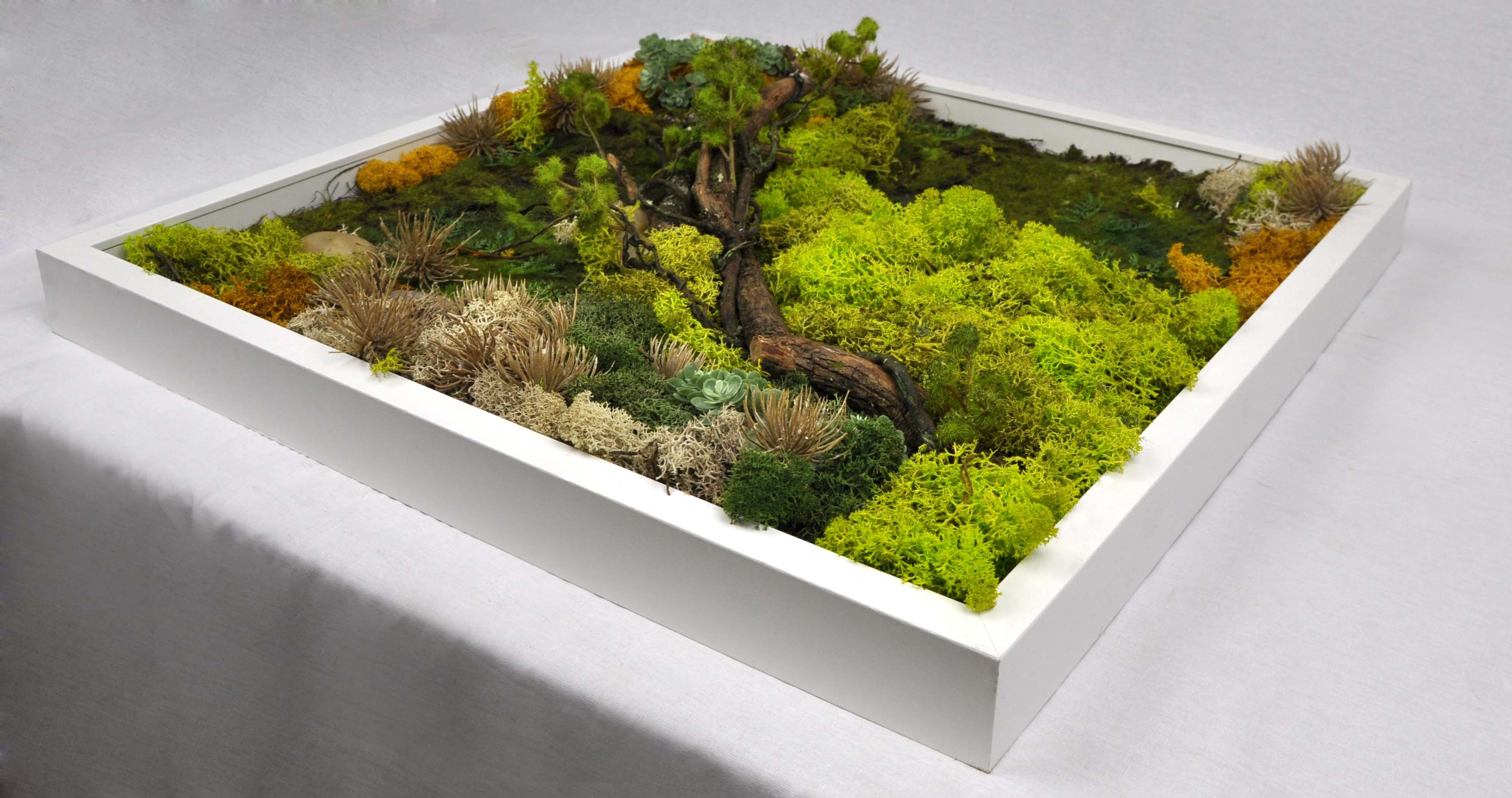 Preserved Moss Wall Frame