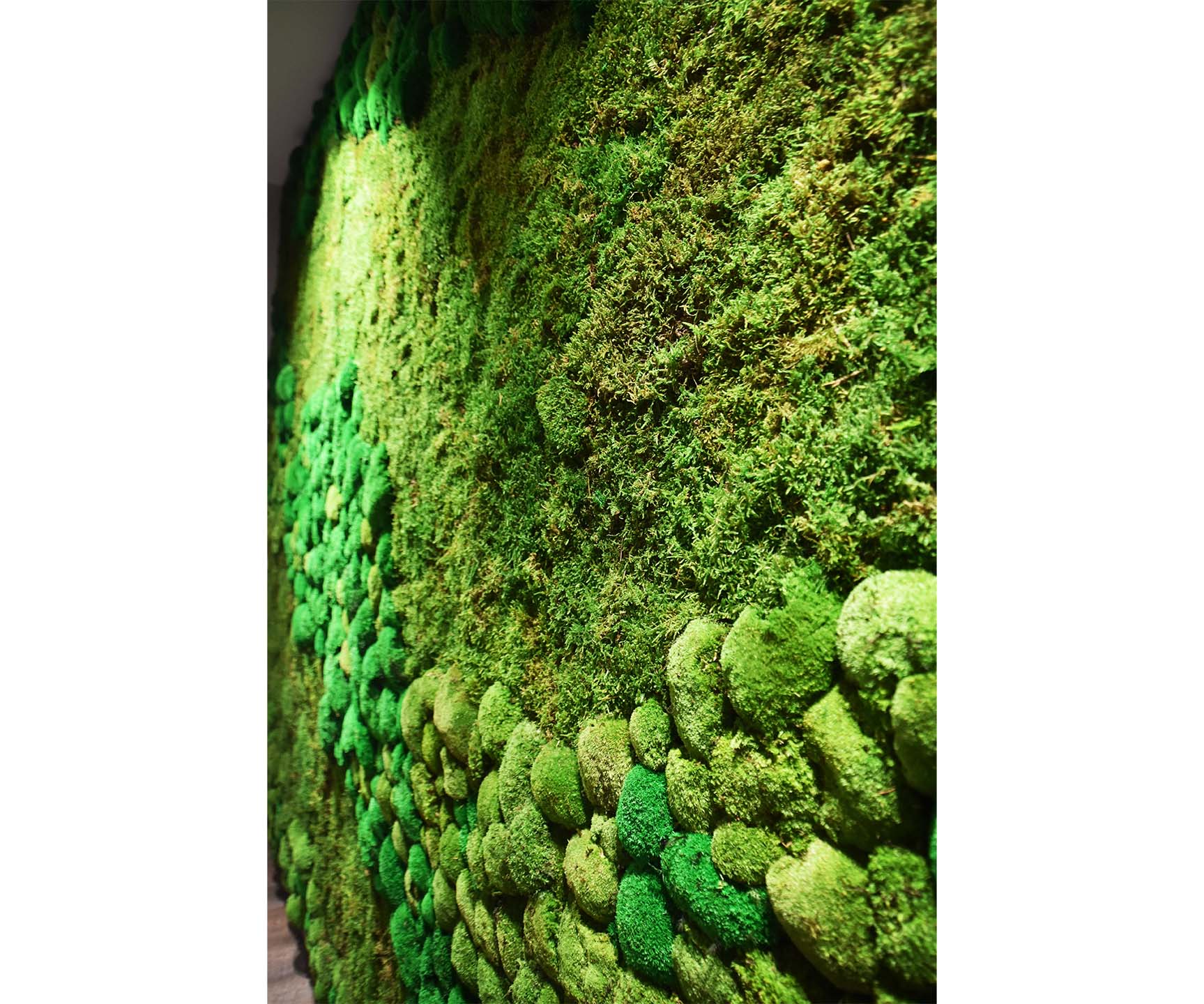 Moss Wall Mercury Filmworks