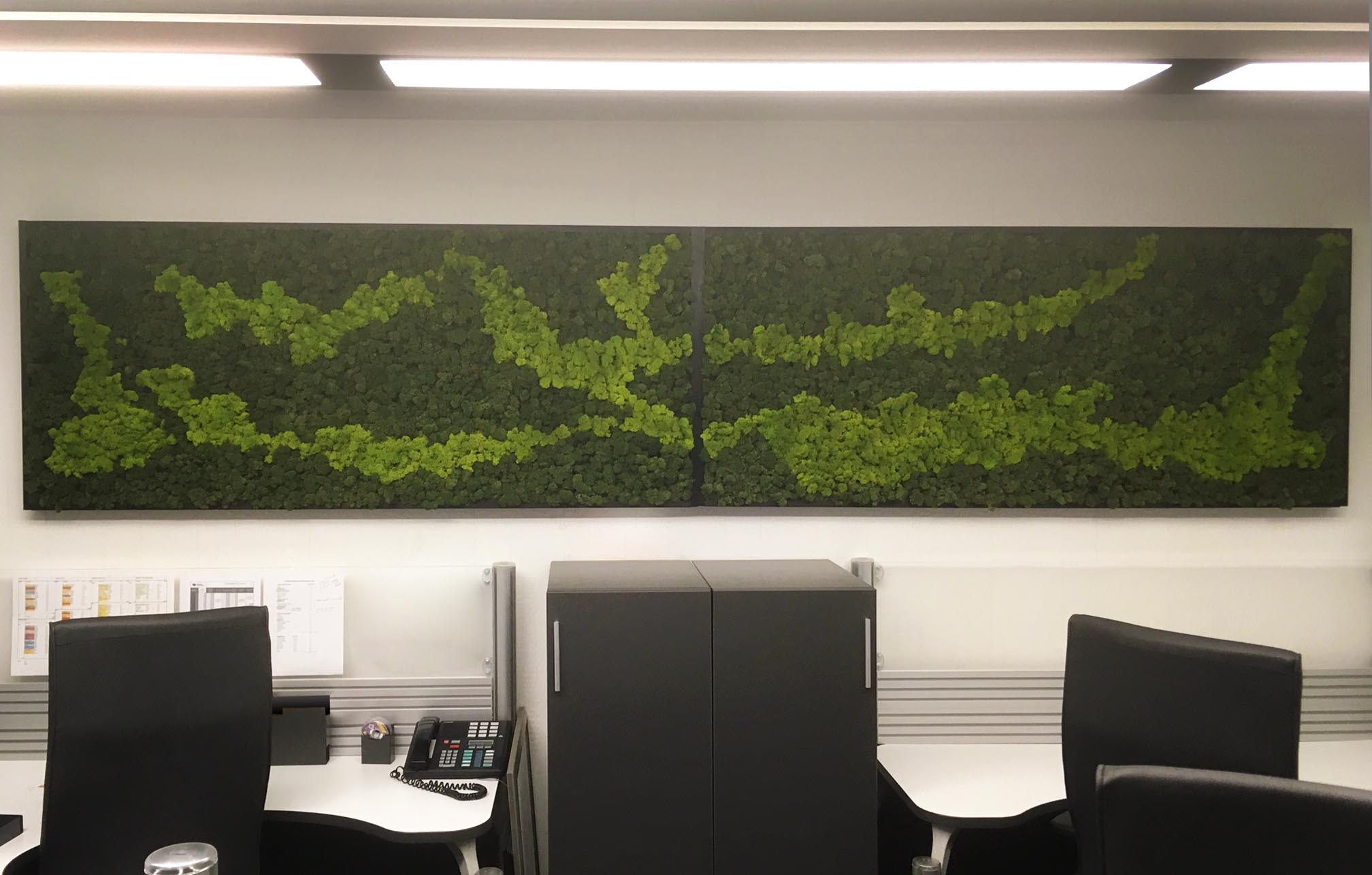 Preserved Moss Wall Frame