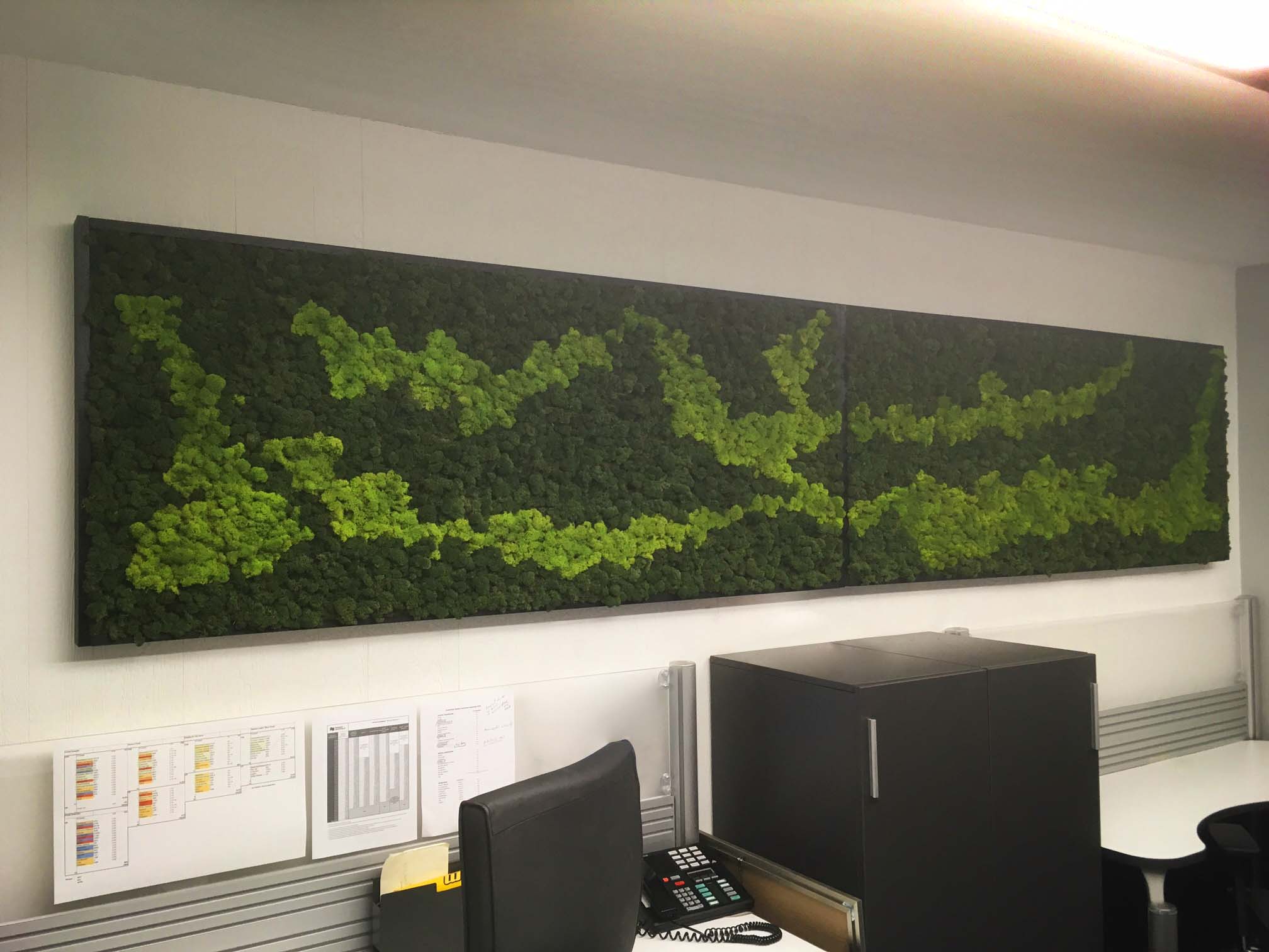 Preserved Moss Wall Frame