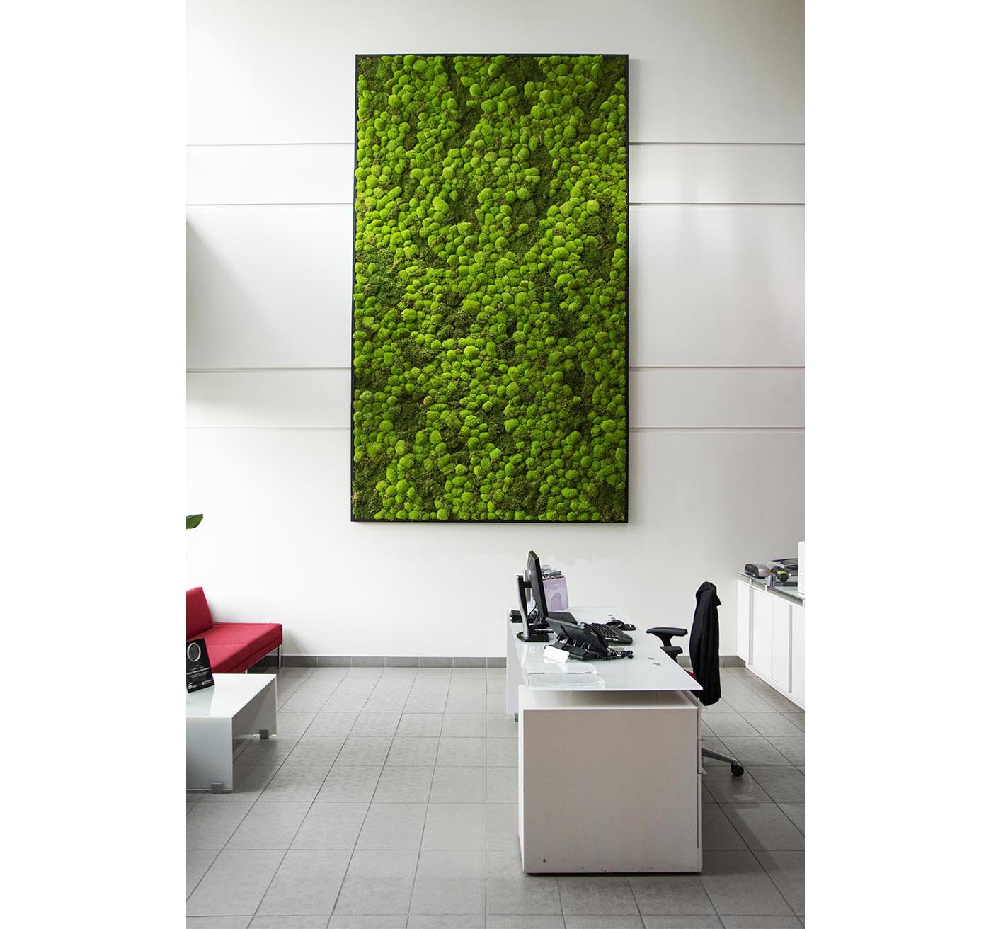 Moss Wall Targray