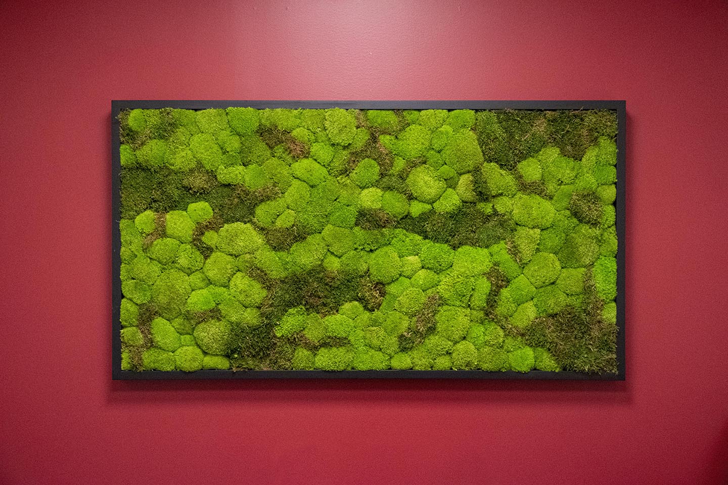 Moss Wall Targray