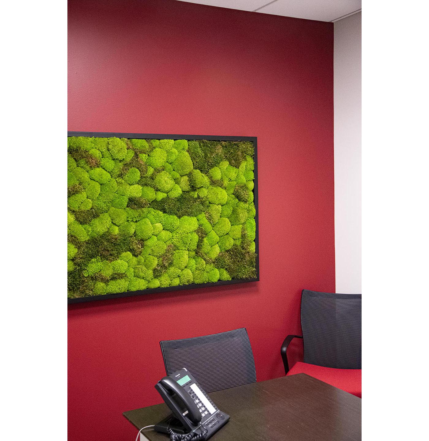 Moss Wall Targray
