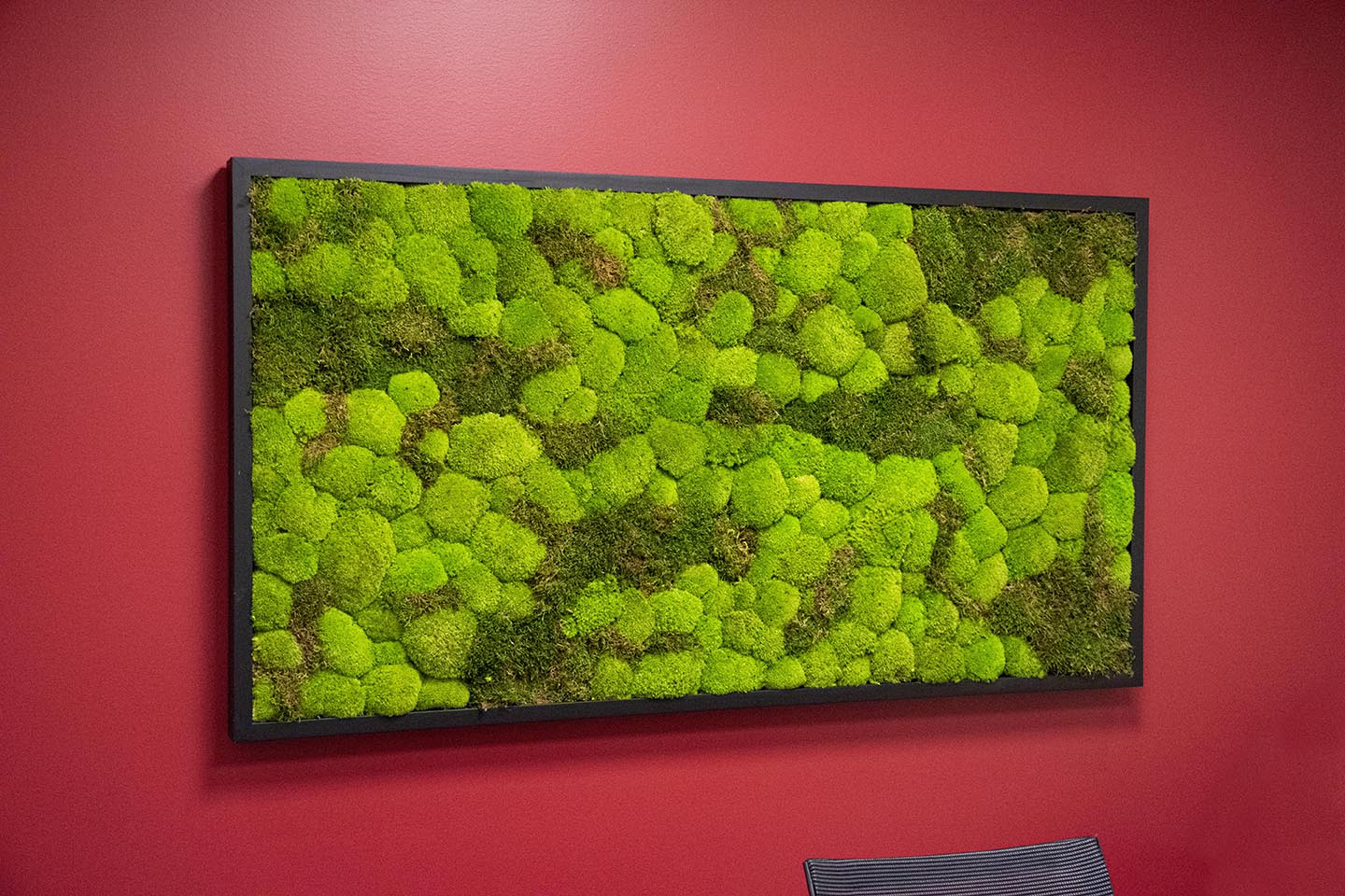Moss Wall Targray