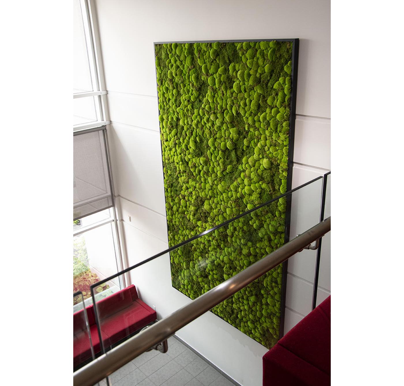 Moss Wall Targray