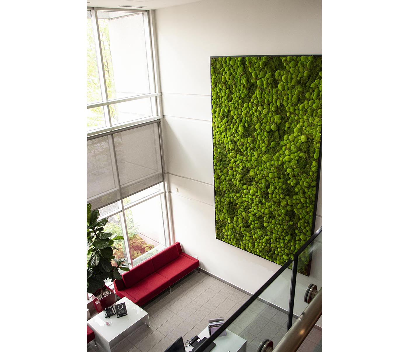 Moss Wall Targray