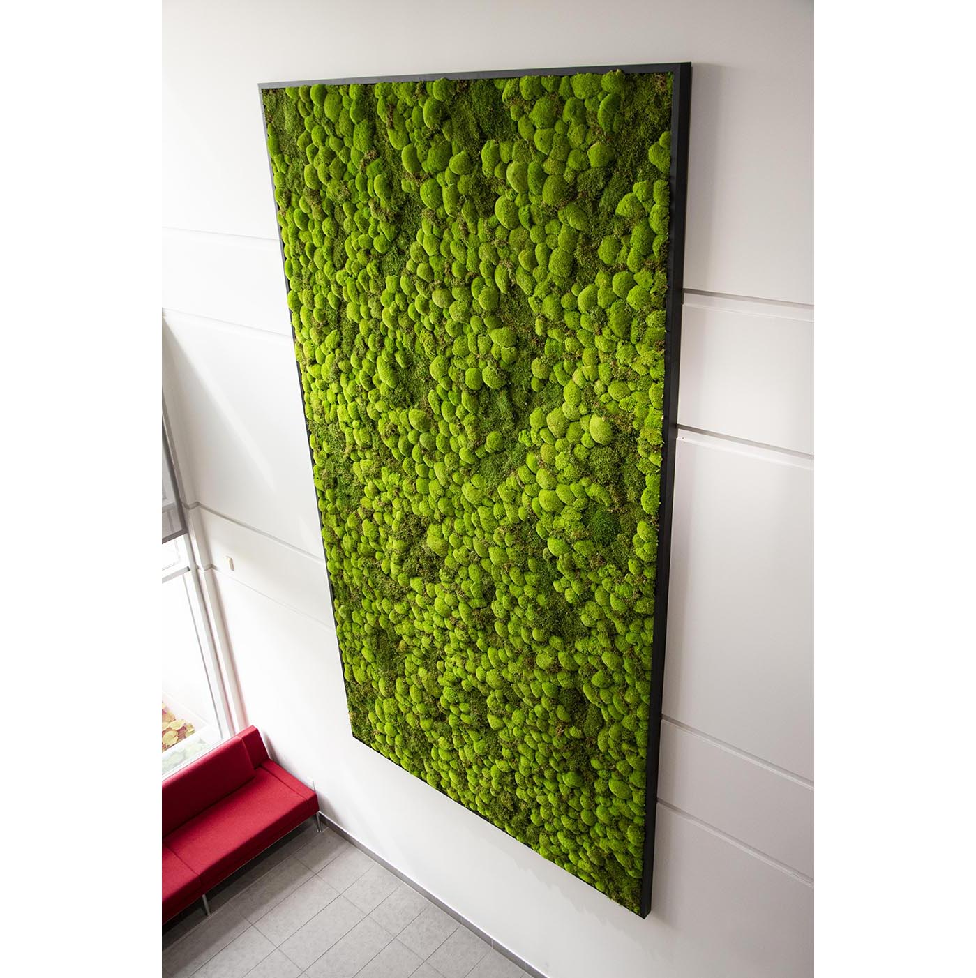 Moss Wall Targray