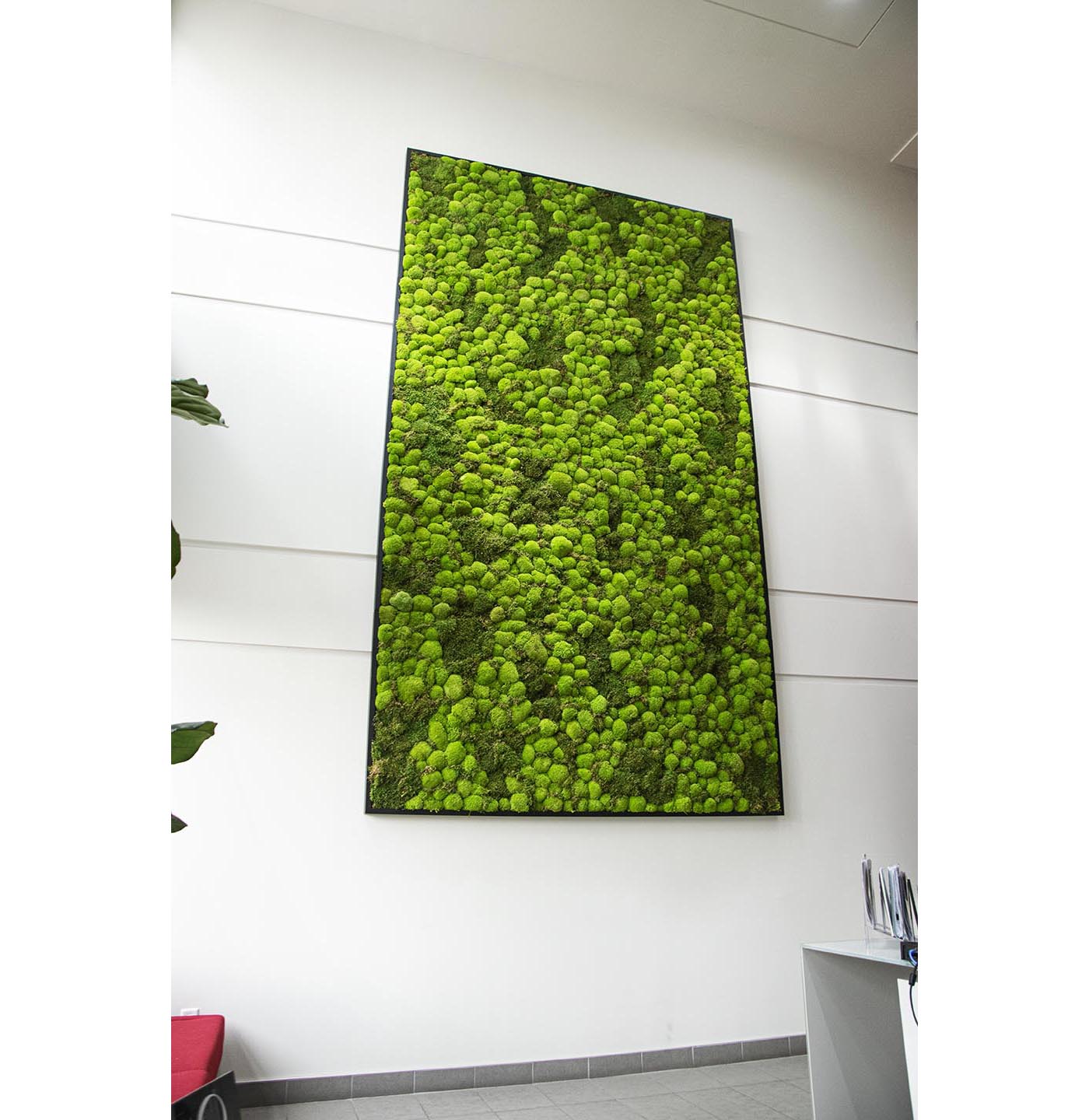 Moss Wall Targray