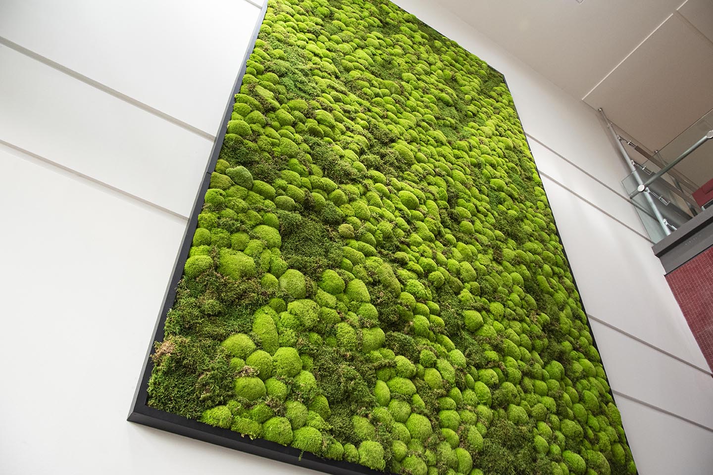 Moss Wall Targray