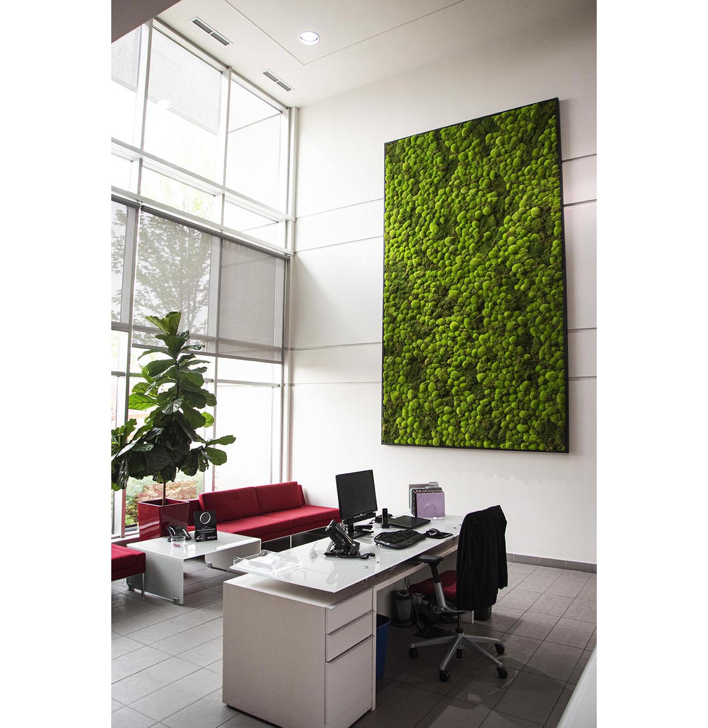 Moss Wall Targray