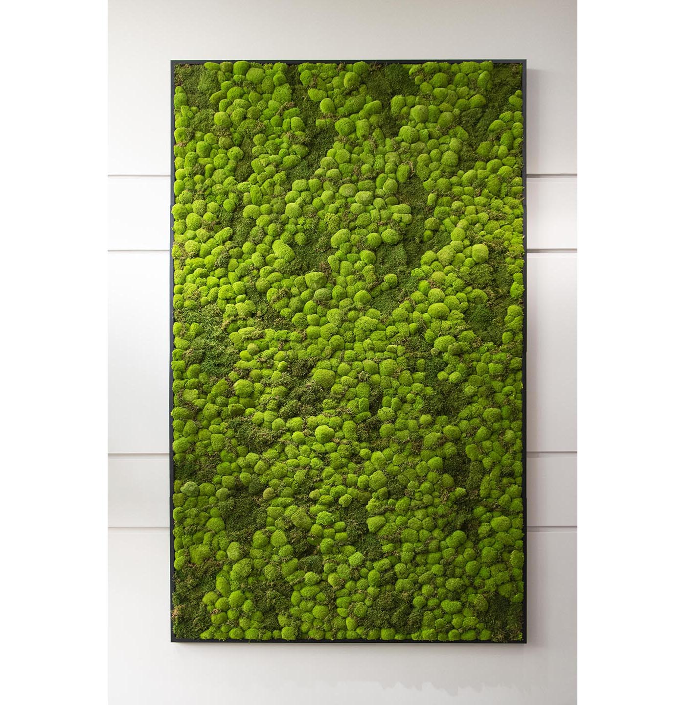 Moss Wall Targray