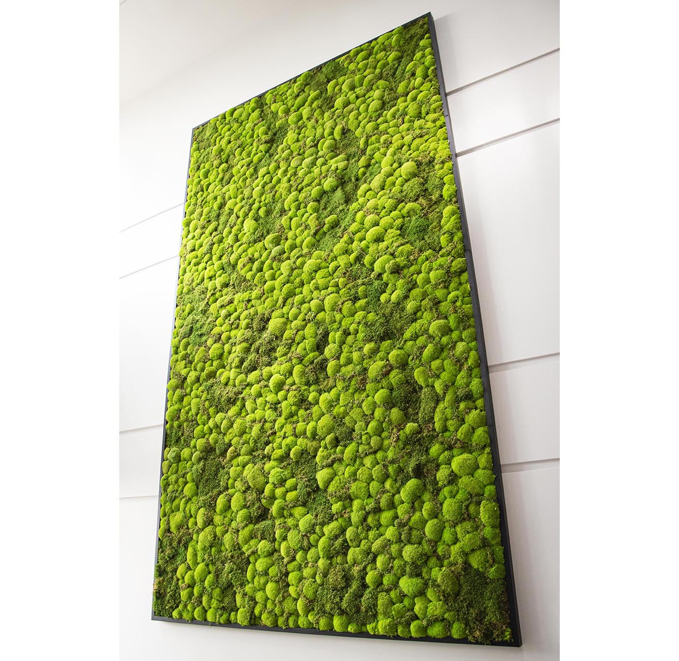 Moss Wall Targray