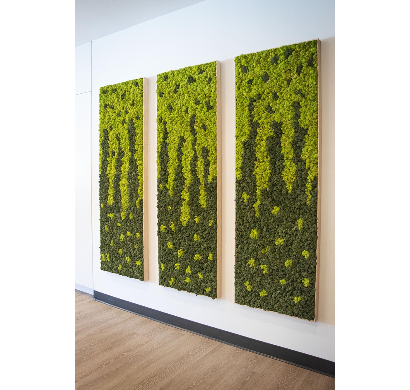 Moss Wall Univar