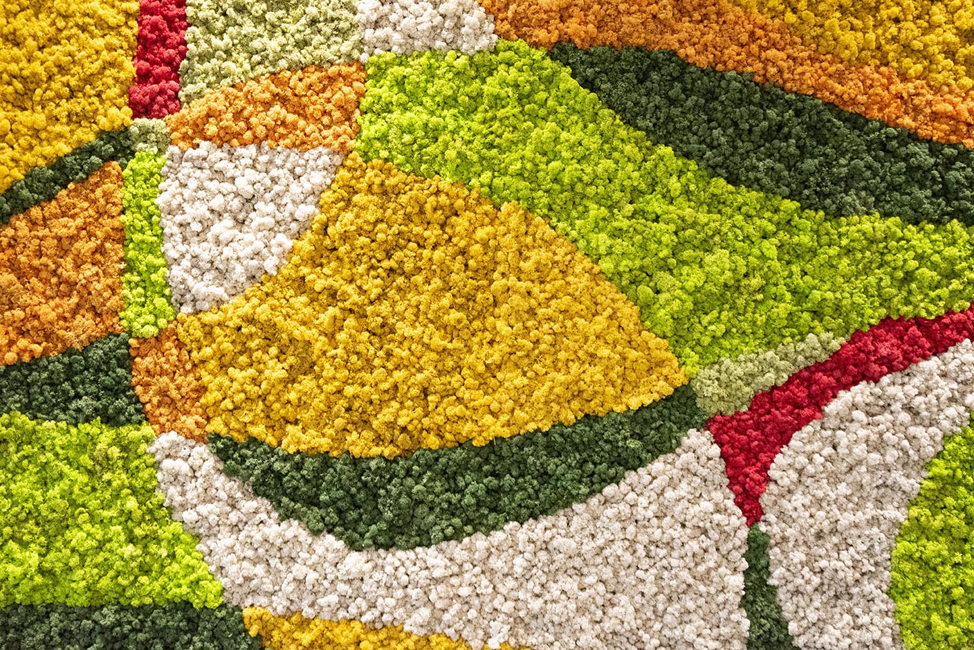 Carbonleo Moss Wall