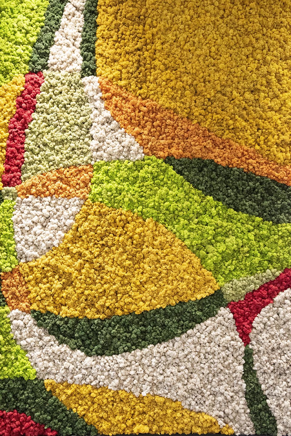 Carbonleo Moss Wall