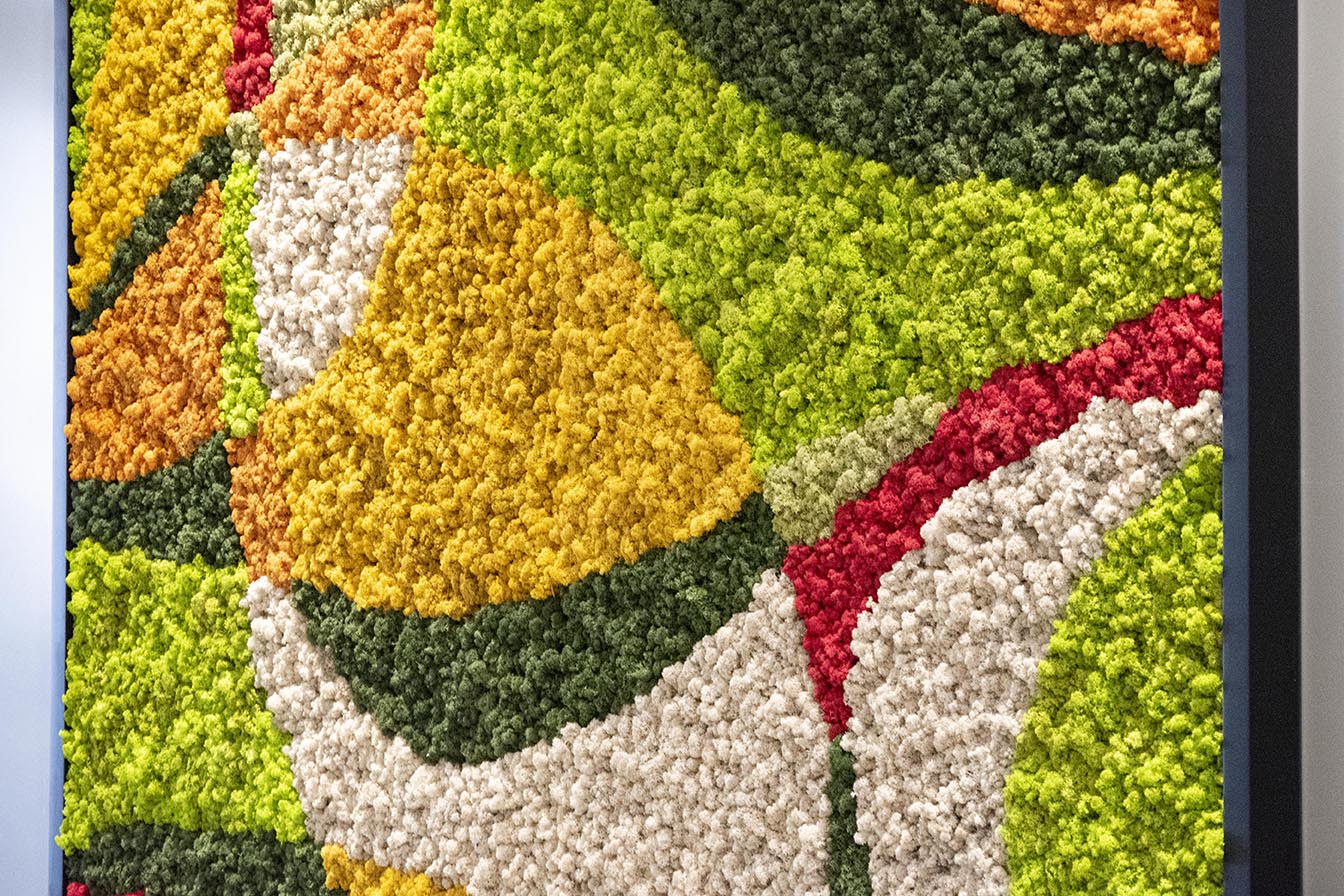 Carbonleo Moss Wall