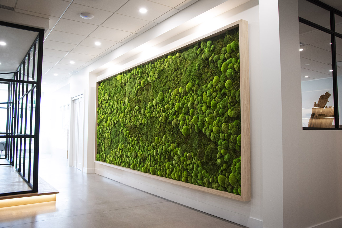 CMPG Moss Wall