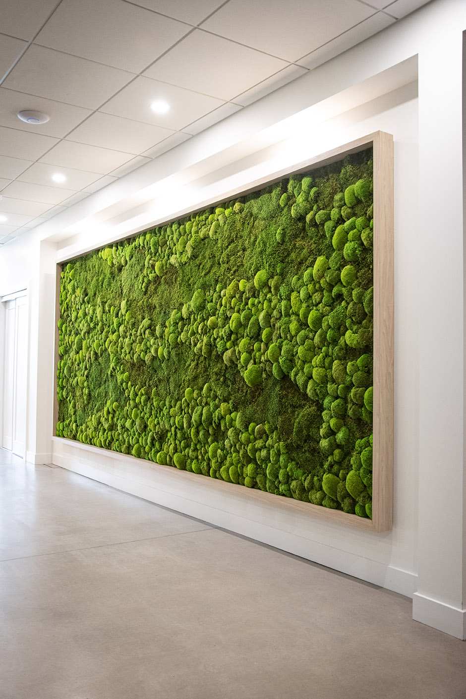 CMPG Moss Wall