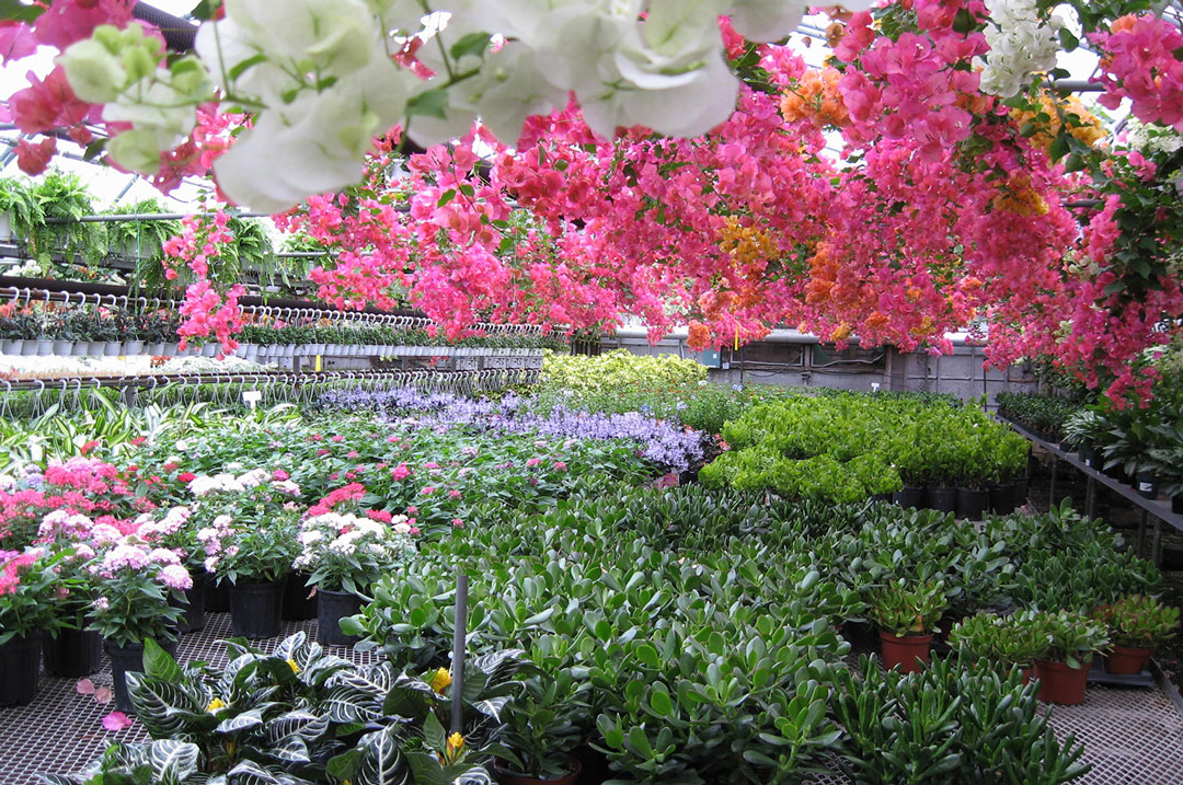 Planterra Greenhouse