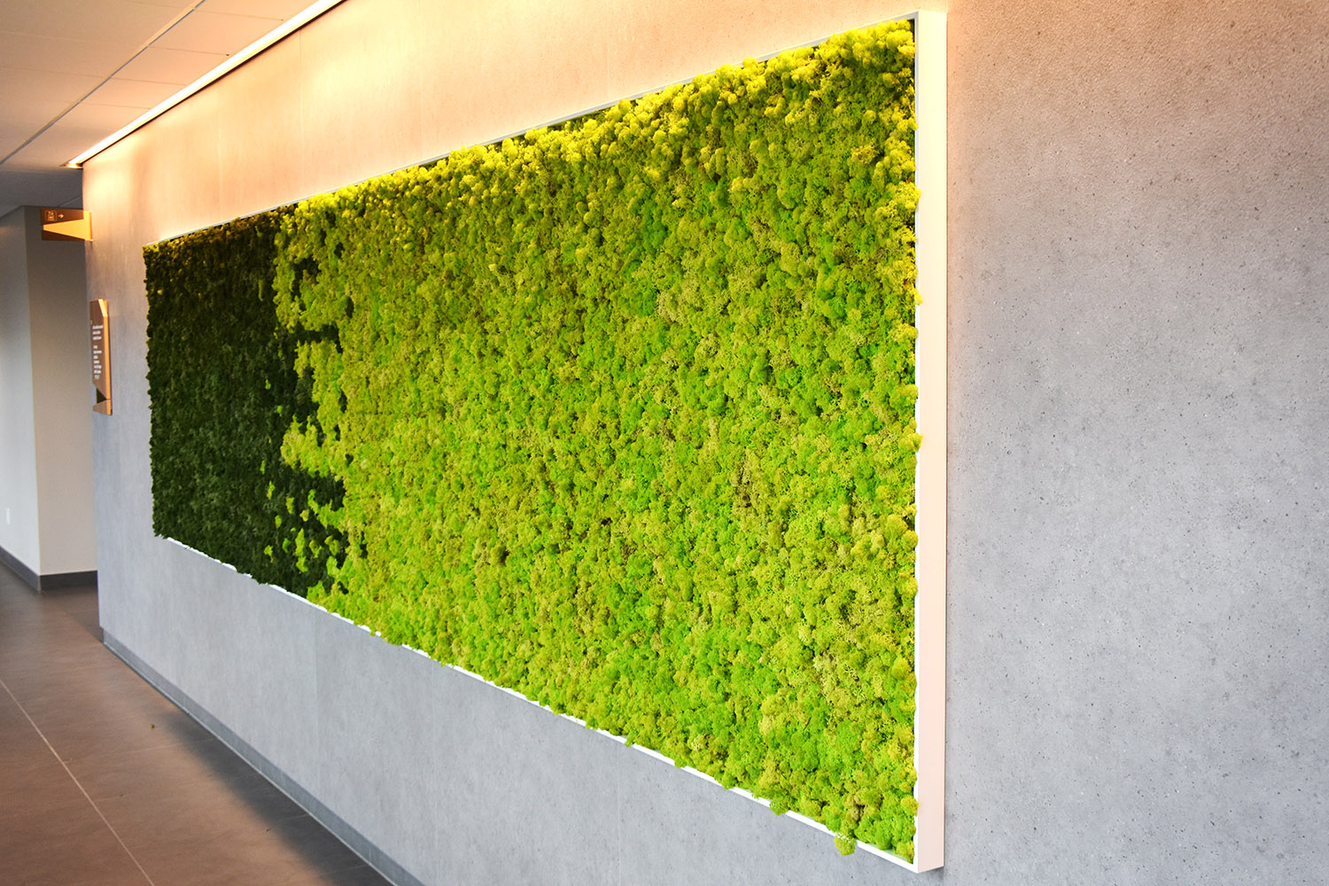 Moss Wall ORA