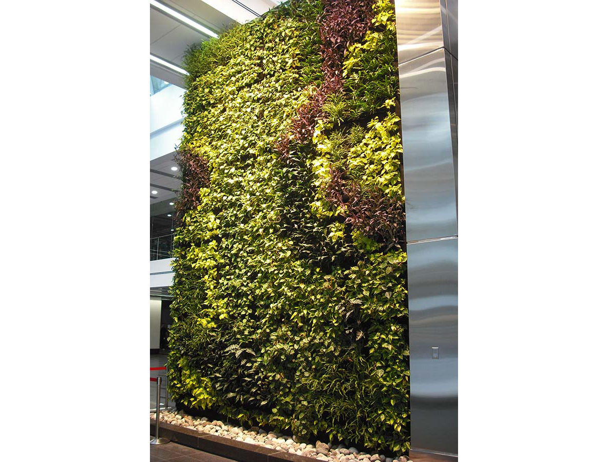Elgin Green Wall