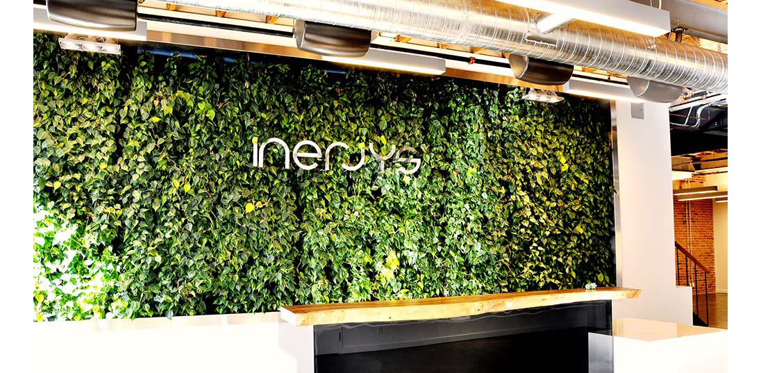 Inerjys Green Wall