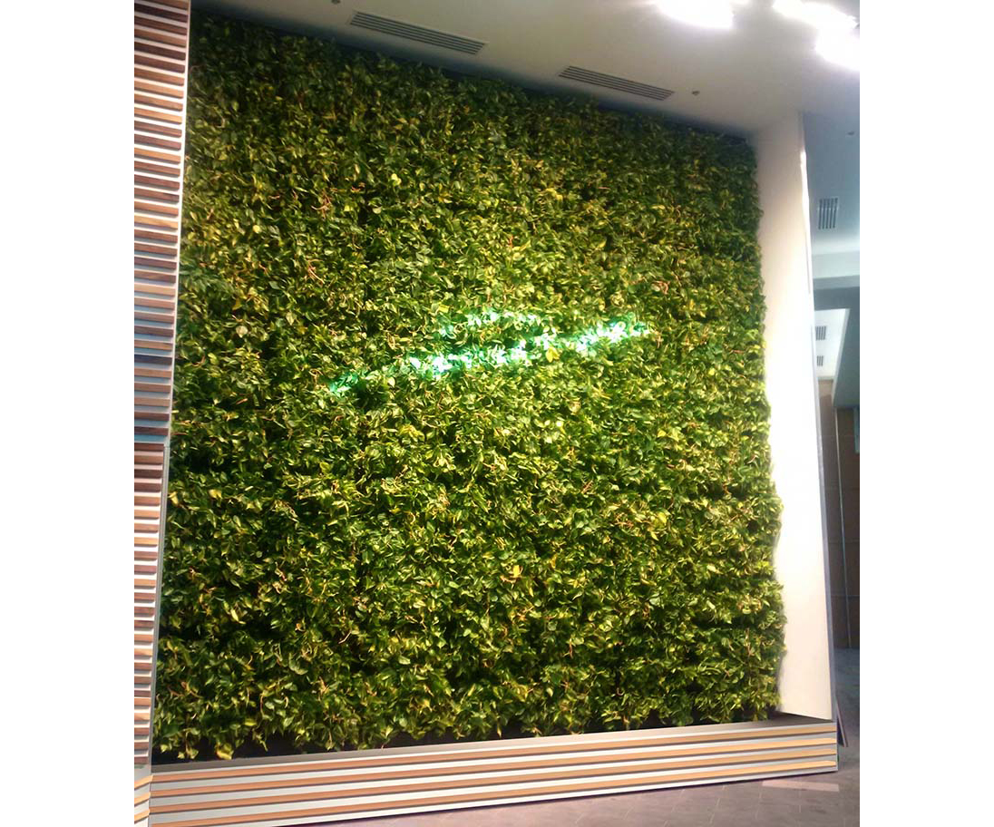 Desjardins Green wall