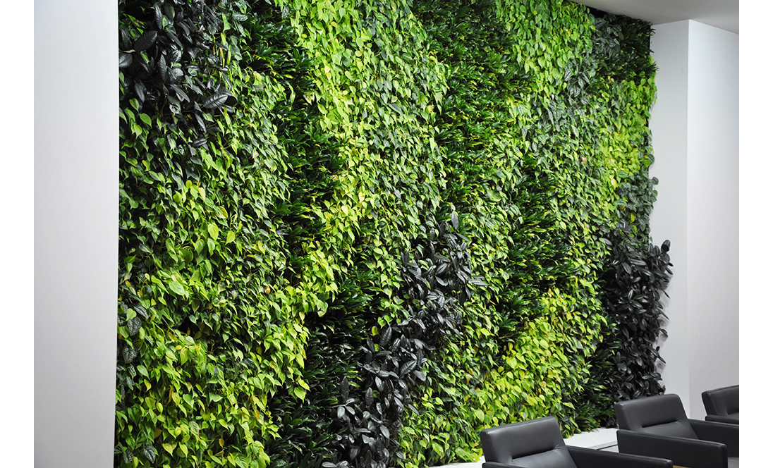 50 O'Connor Green Wall