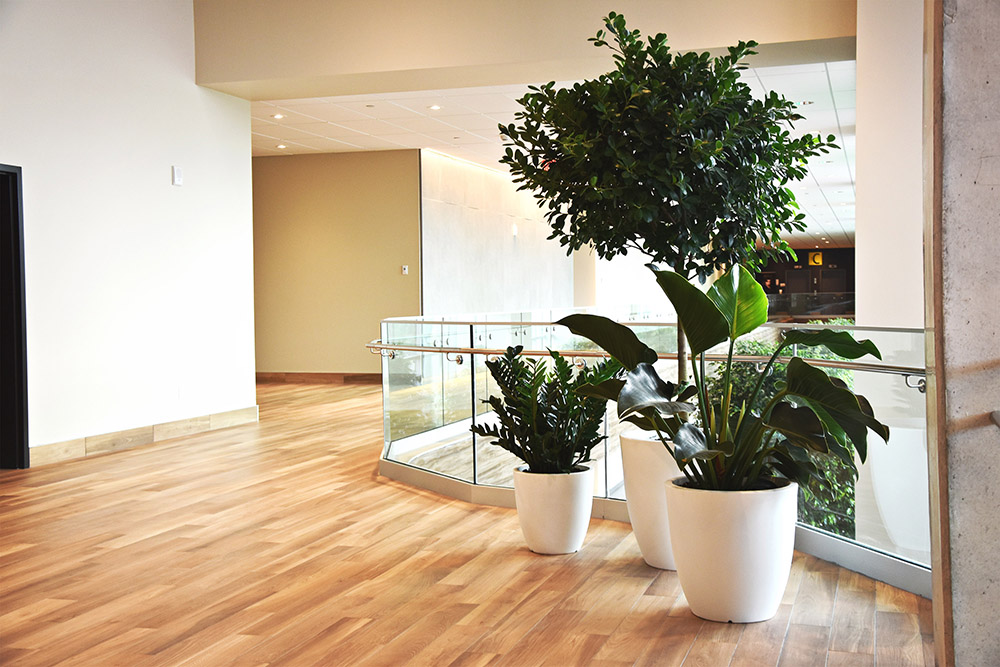 Interior Landscaping ORA