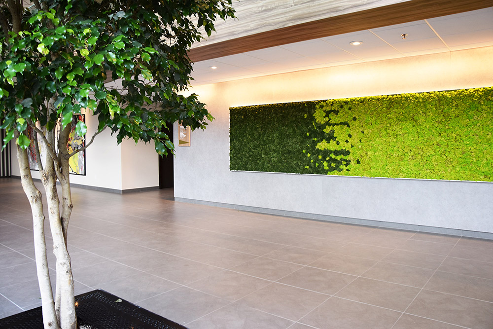 Interior Landscaping - ORA