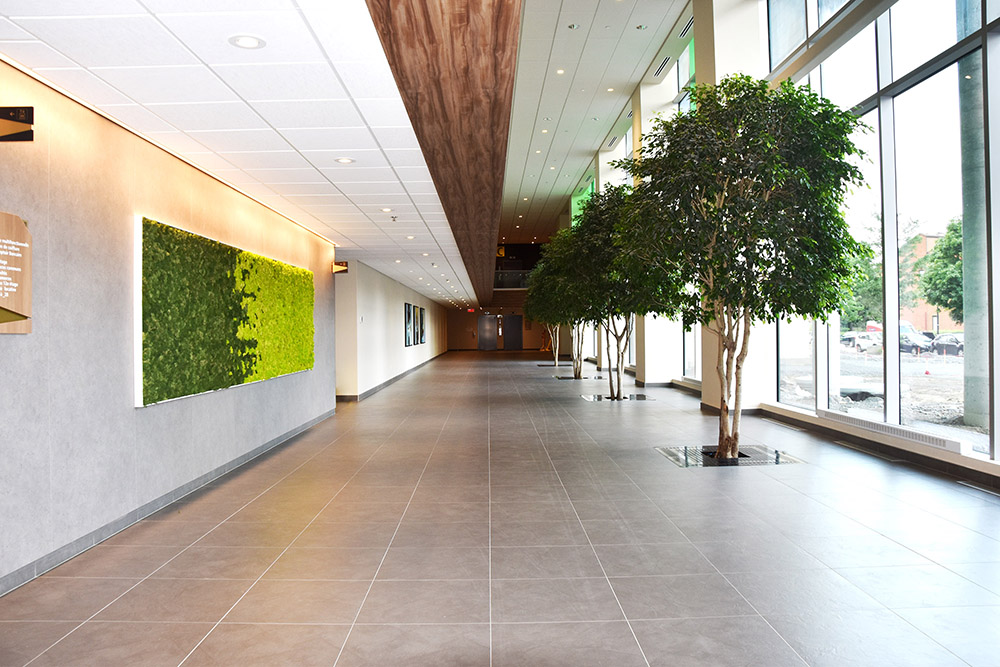 Interior Landscaping - ORA