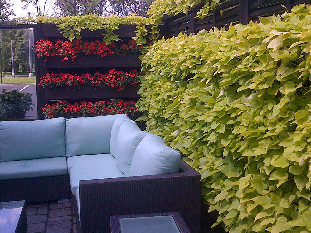 Exterior Landscaping - Hotel Mortagne