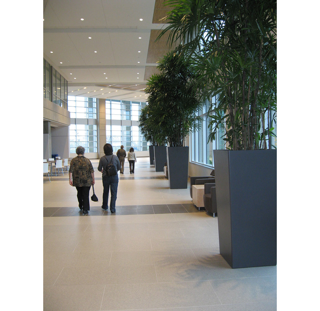 Bell Campus Interior Landscaping