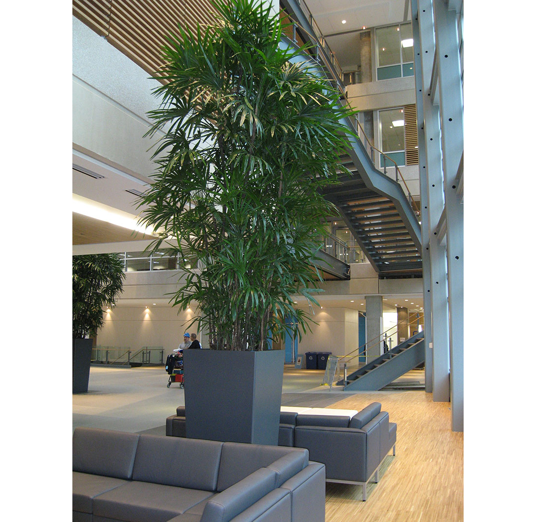 Bell Campus Interior Landscaping