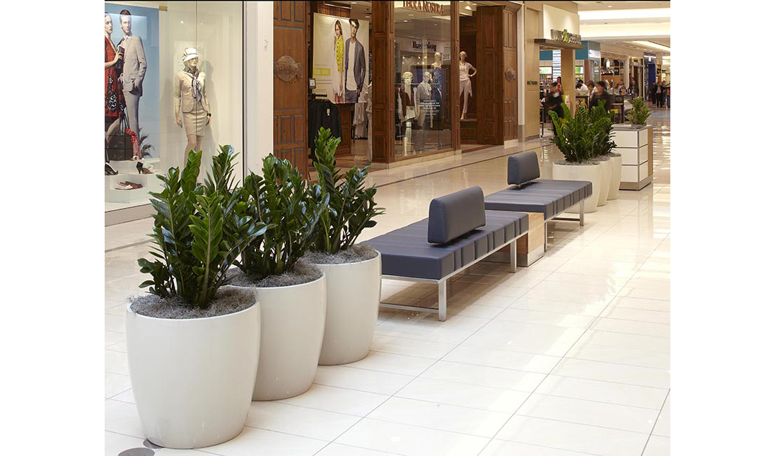 Champlain Mall Interior Landscaping