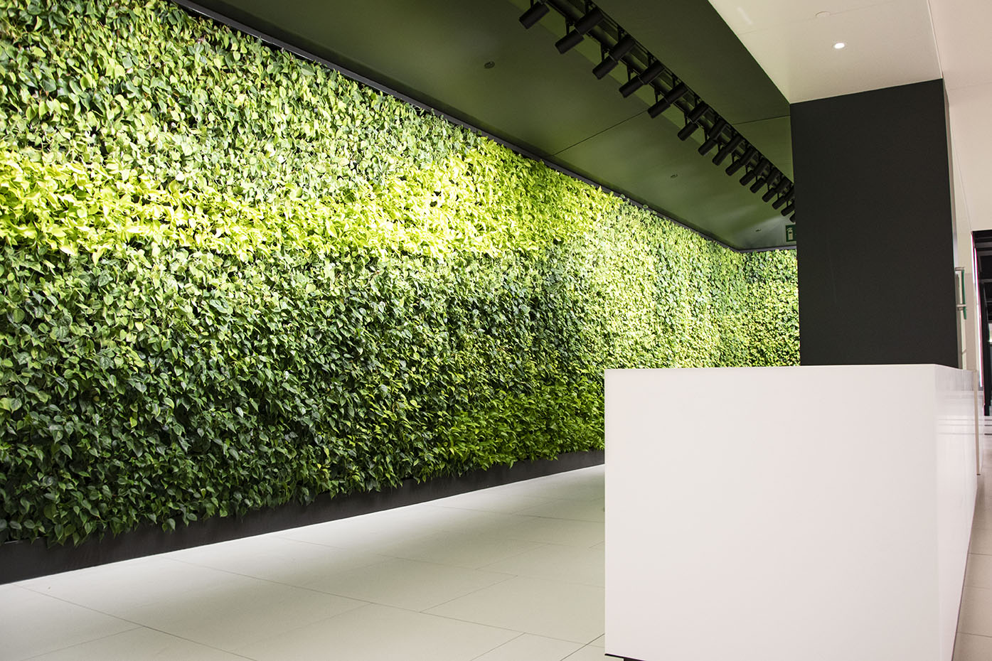 Bonaventure Green Wall