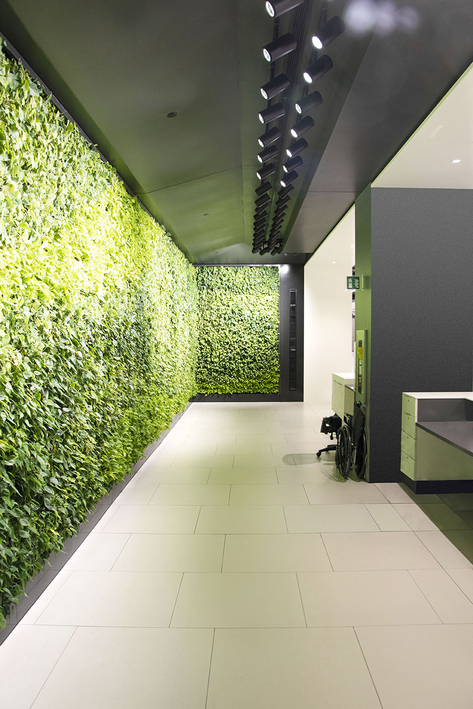 Bonaventure Green Wall